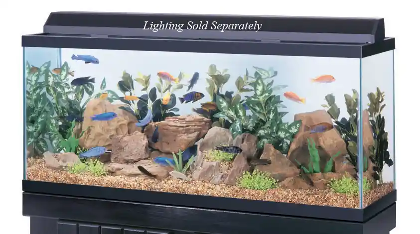 55 Gallon Black Trim Aquarium 48"x13"x20"