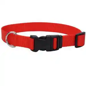 Adjustable Dog Collar With Plastic Buckle, Red, 3/4" X 14"-20"