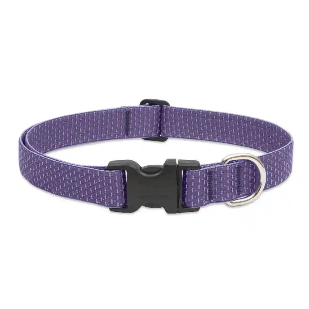 Lupine 1" Lilac 16"-28" Adj. Collar