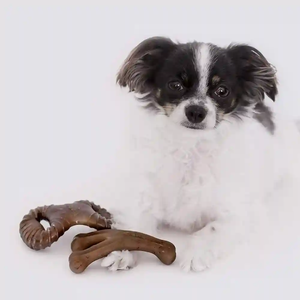 Benebone Tiny Bacon Flavor Dog Chew Toy, 2-ct