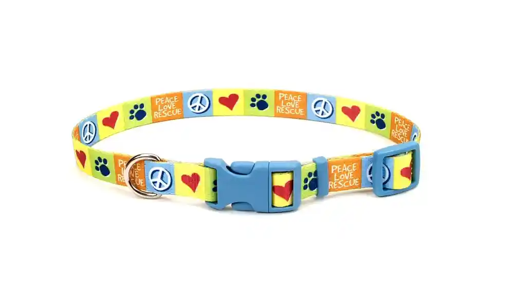 Adjustable Dog Collar, Resolve, 3/4" X 14-20"