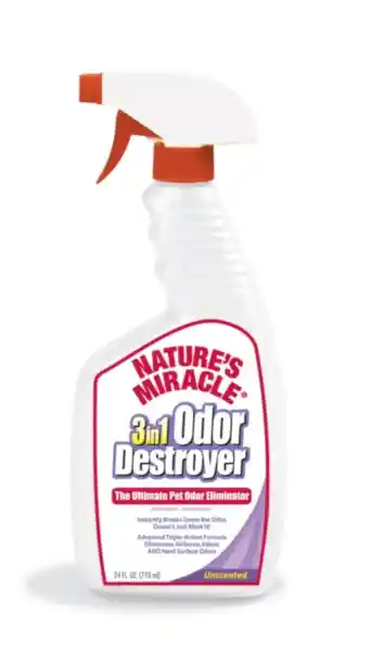 Stain & Odor 3 In 1 Destroyer Unscented