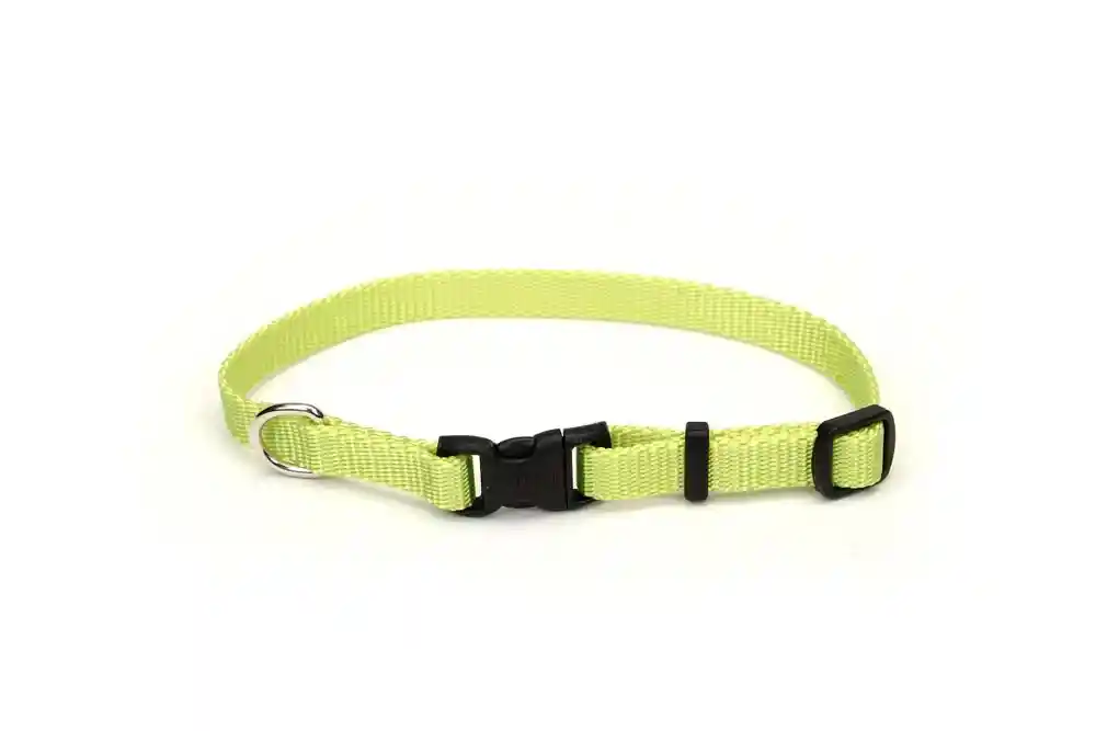 Adjustable Dog Collar With Plastic Buckle, Lime, 3/8" X 8"-12"