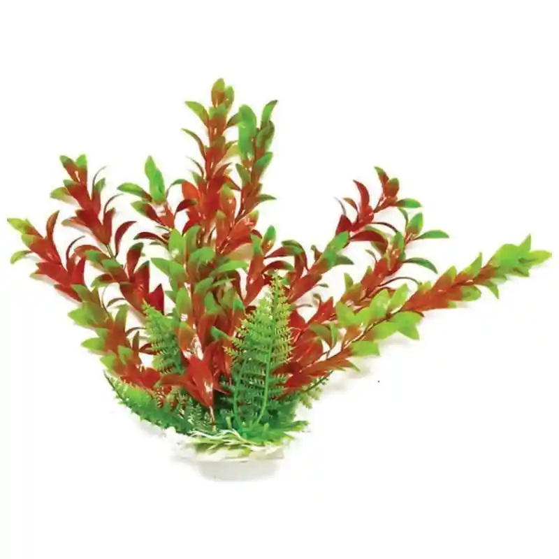 Plant Hygro Green/red 12"
