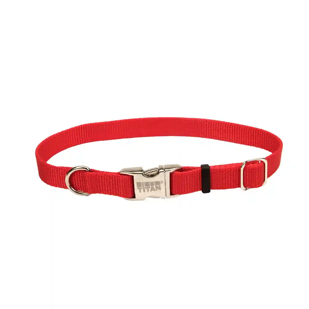 Adjustable Dog Collar With Metal Buckle, Red, 3/4" X 14" - 20"