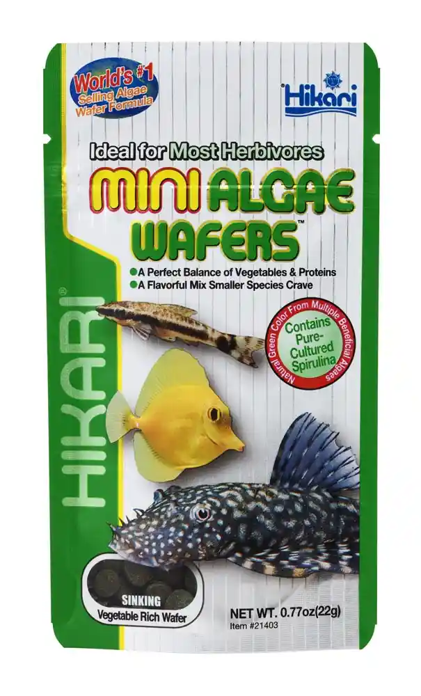 Hikari Mini Algae Wafers .77 Oz