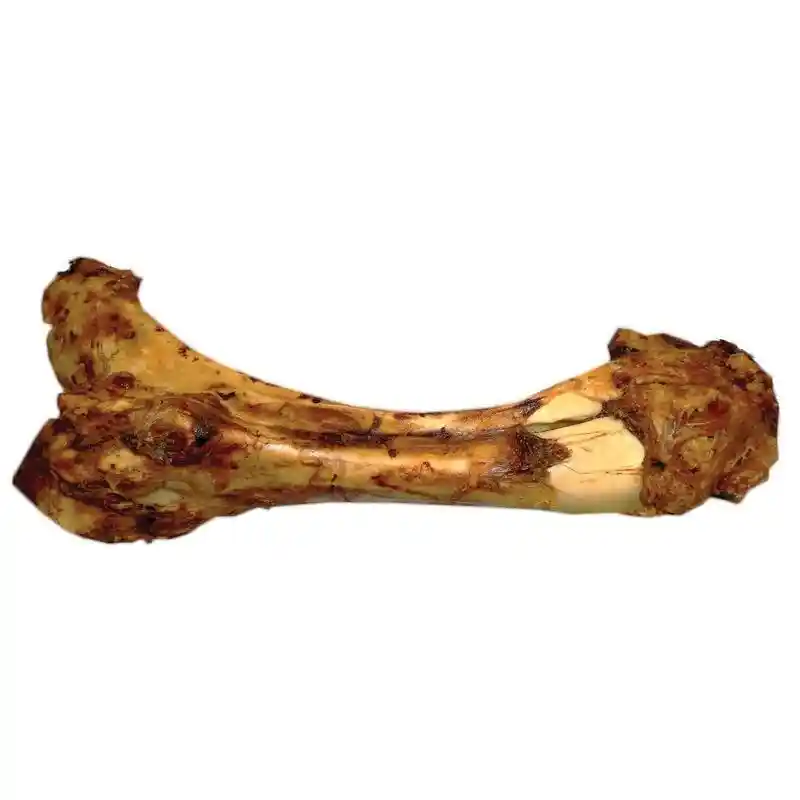 Smoked Meaty Dino Bone 14"-20"