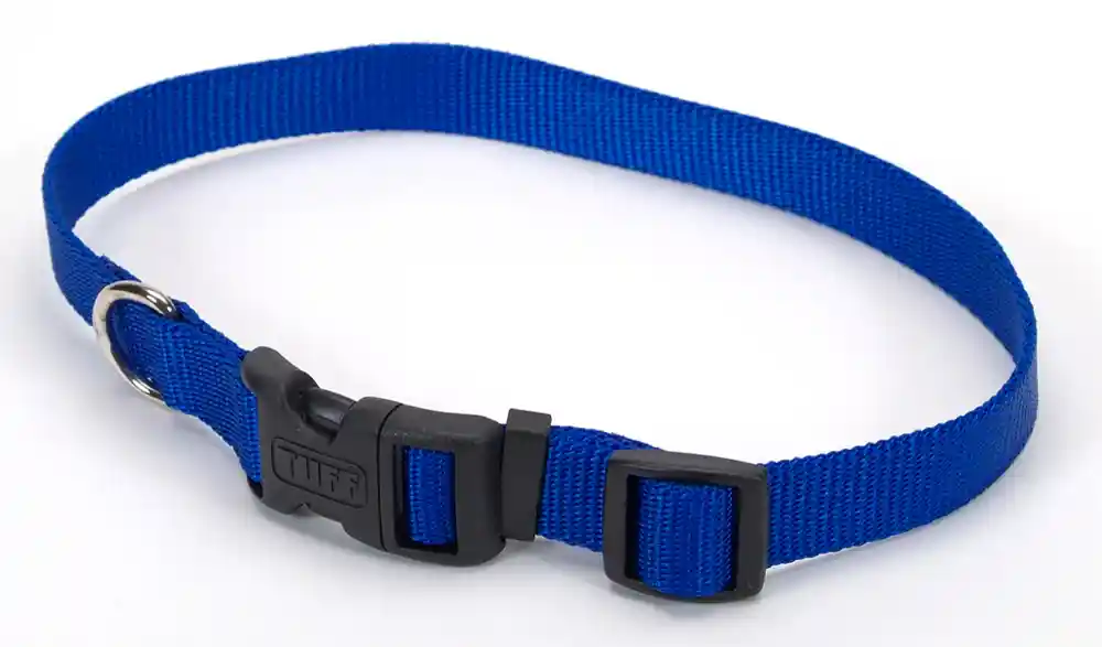 Adjustable Dog Collar With Plastic Buckle, Blue, 3/4" X 14"-20"