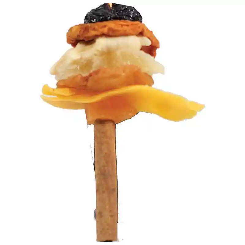 Dried Fruit And Cinnamon Skewer
