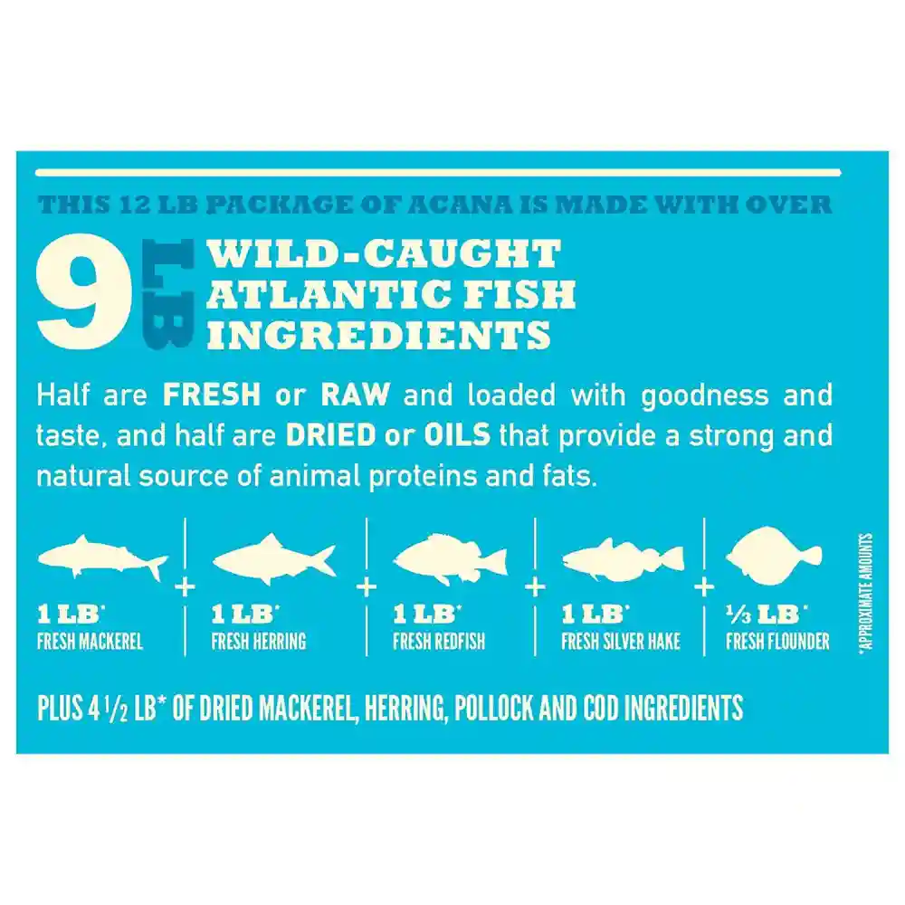 Regionals Dry Cat Food, Wild Atlantic, Biologically Appropriate & Grain Free 4-lb