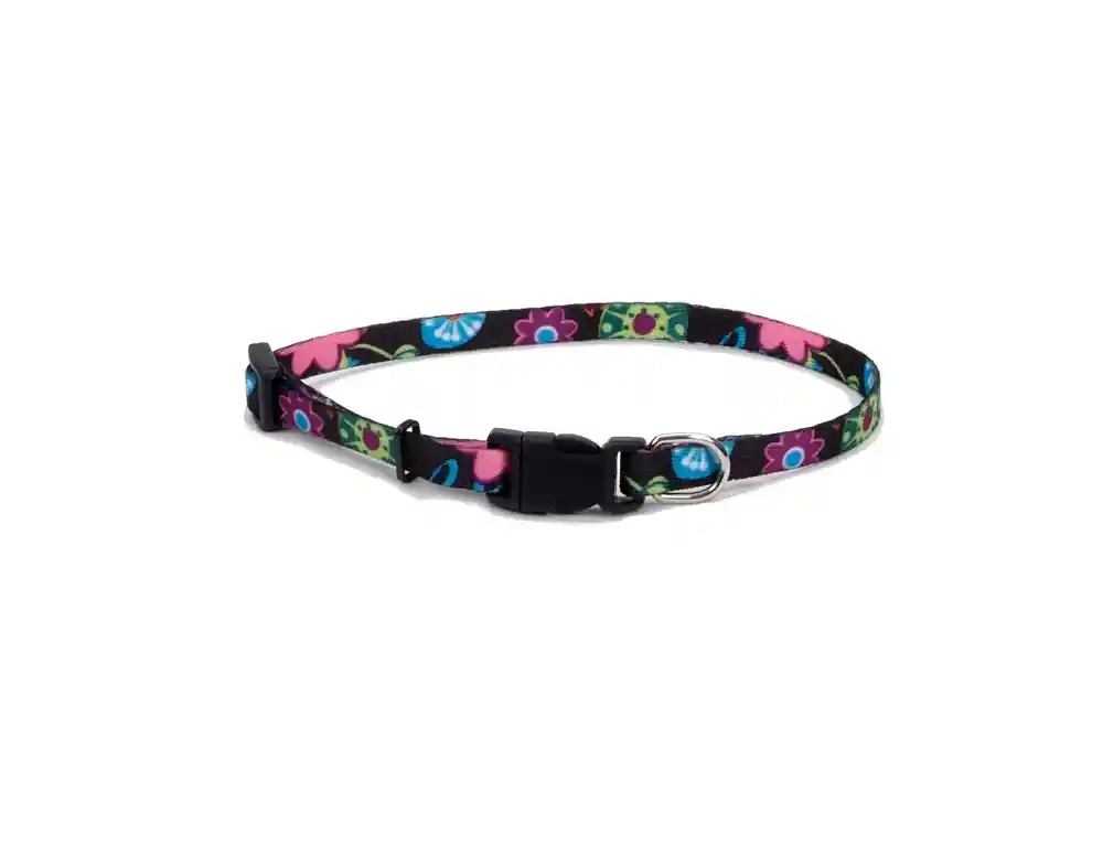 Adjustable Patterned Dog Collar, Wildflower, 3/8" X 08"-12"