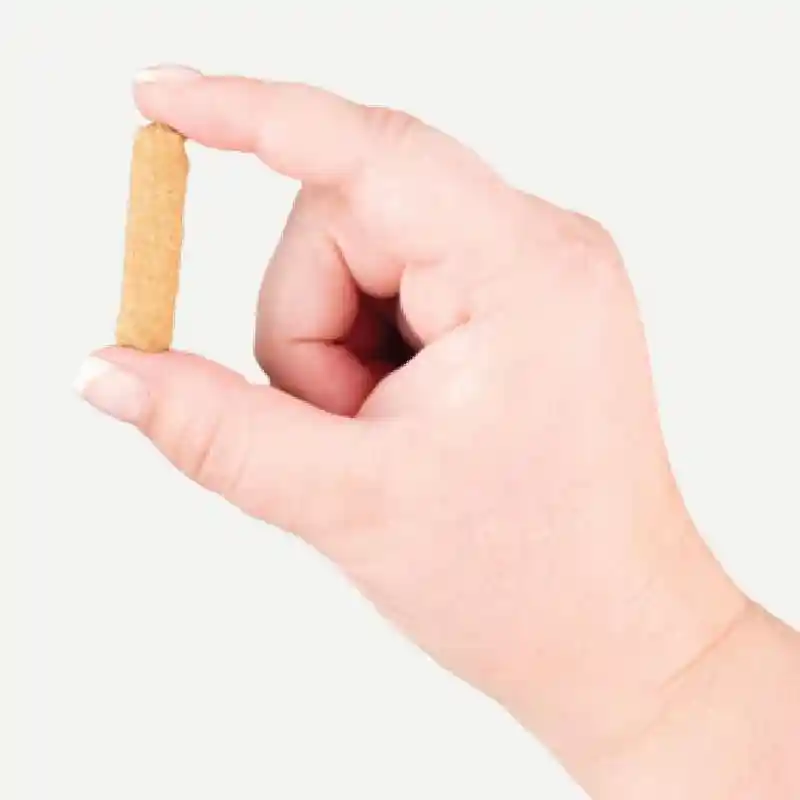 Holistic Earthbites Chewy Grain Free Bites Salmon 7-oz