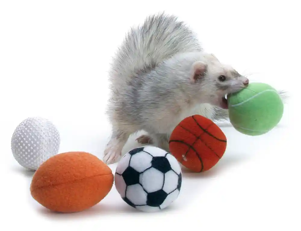 Marshal Fleece 2pk Sport Balls