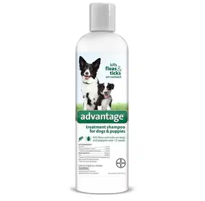 Advantage F/t Shampoo Dogs & Puppies 8 Oz