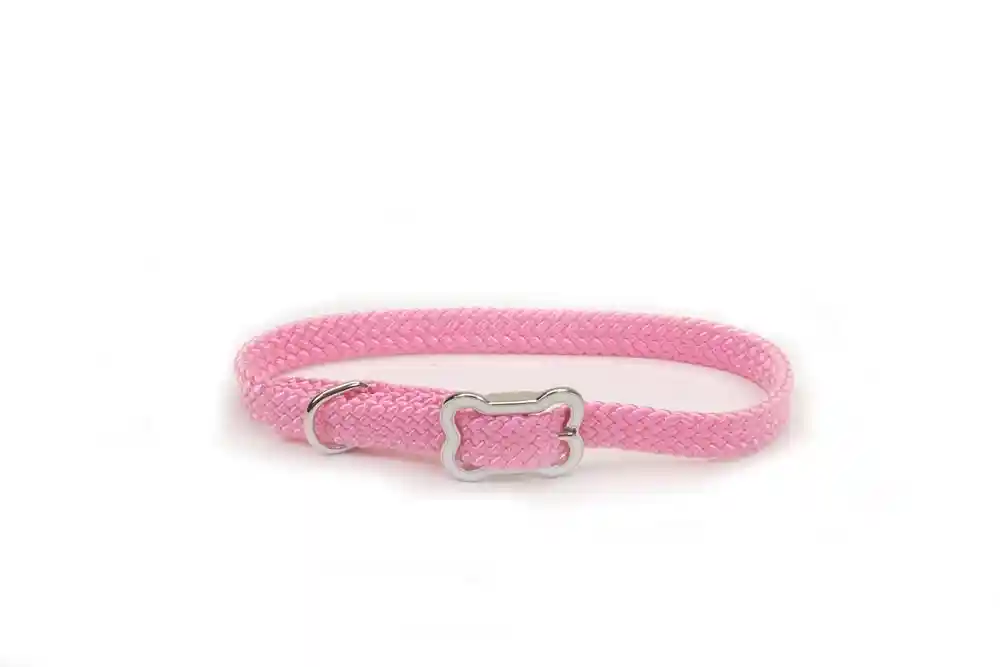 Dog Collar With Bone Buckle, Pink Bright, 3/8" X 10"