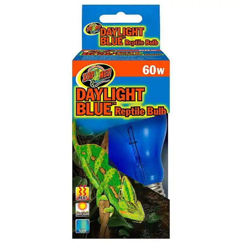 Daylight-blue 60 Watt Incandescent Bulb