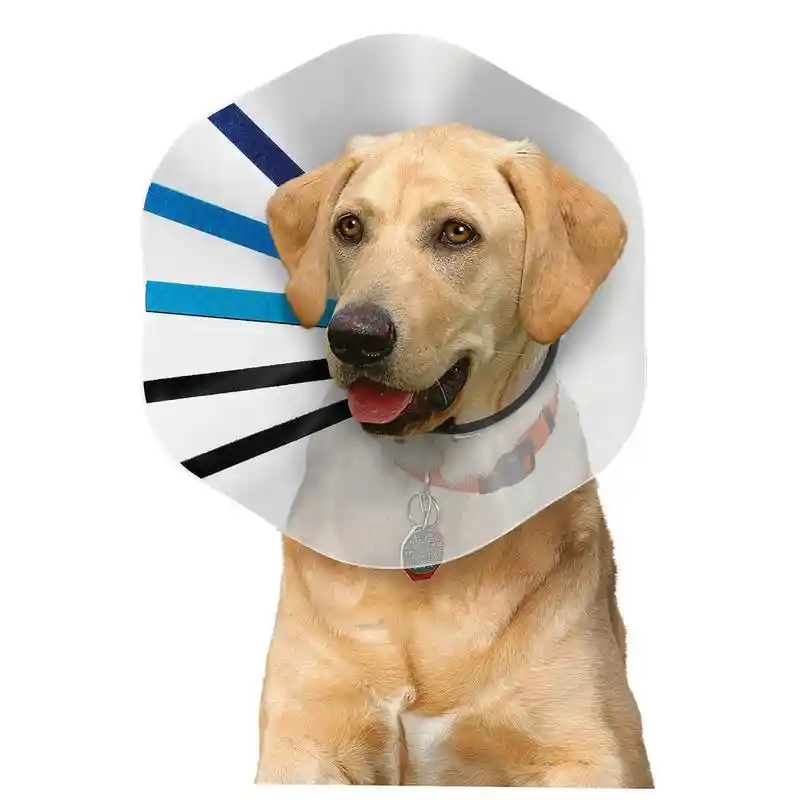 Kong E-collar Medium-assorted Colors E2