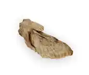 Raw Bar Freeze-dried Turkey Wing Treat For Dogs 1 Wing