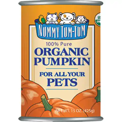 Nummy Tum Tum Organic Canned Pumpkin Dog 15 Oz