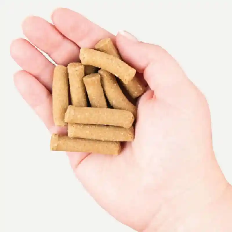 Holistic Earthbites Chewy Grain Free Bites Salmon 7-oz