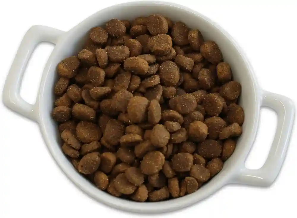 Grain-free Real Texas Beef & Sweet Potato Recipe Dry Dog Food 4-lb