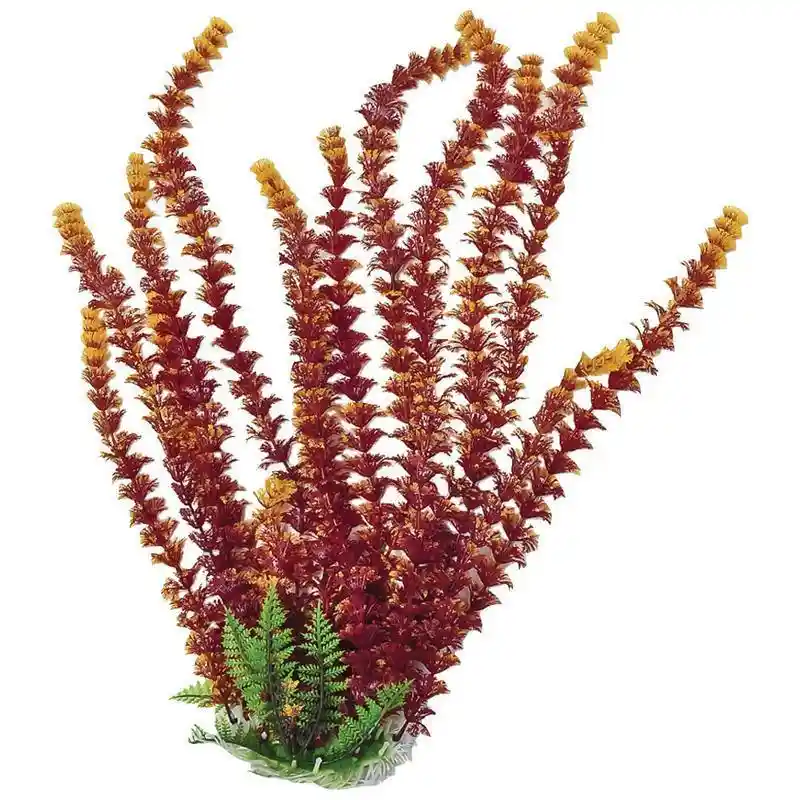 Plant Cabomba Fire 16"