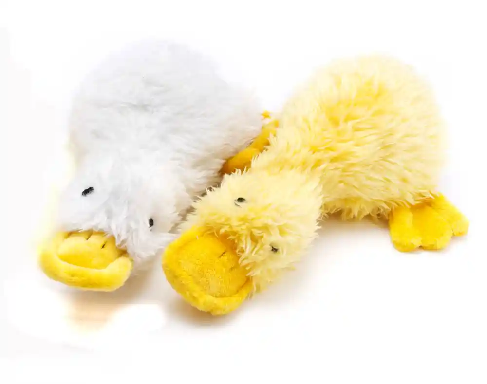 Duckworths Duck Webster Yellow 13"