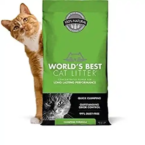 Clumping Formula Cat Litter 28-lb