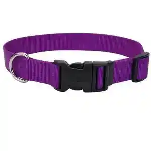 Adjustable Dog Collar With Plastic Buckle, Purple, 3/8" X 8"-12"