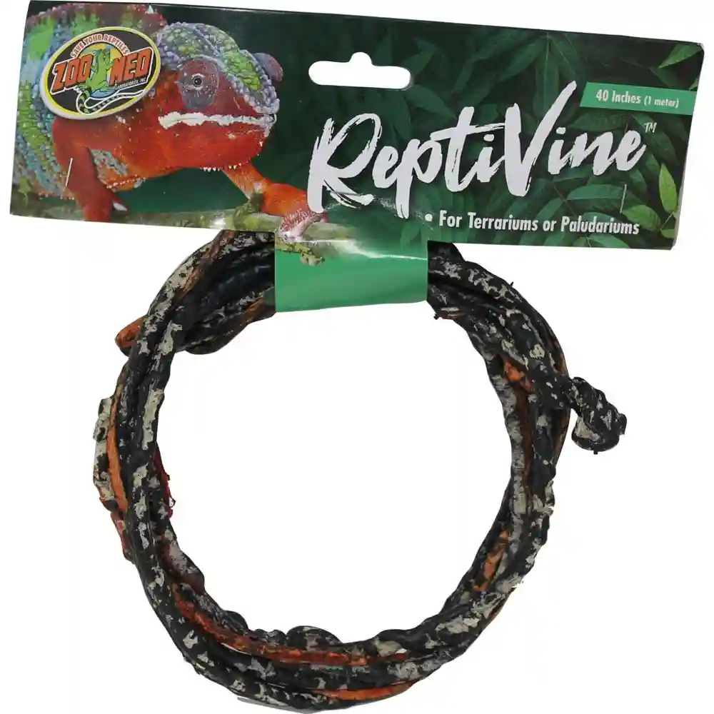 Zml Plnt Reptivine 40in
