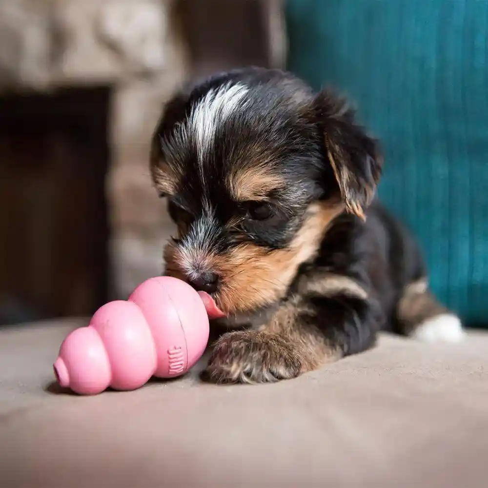 Classic Puppy Dog Toy X-small