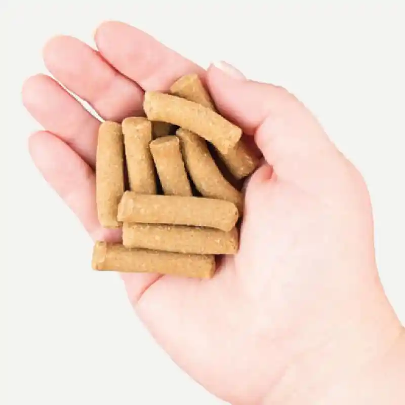 Holistic Earthbites Chewy Grain Free Bites Bison 7-oz