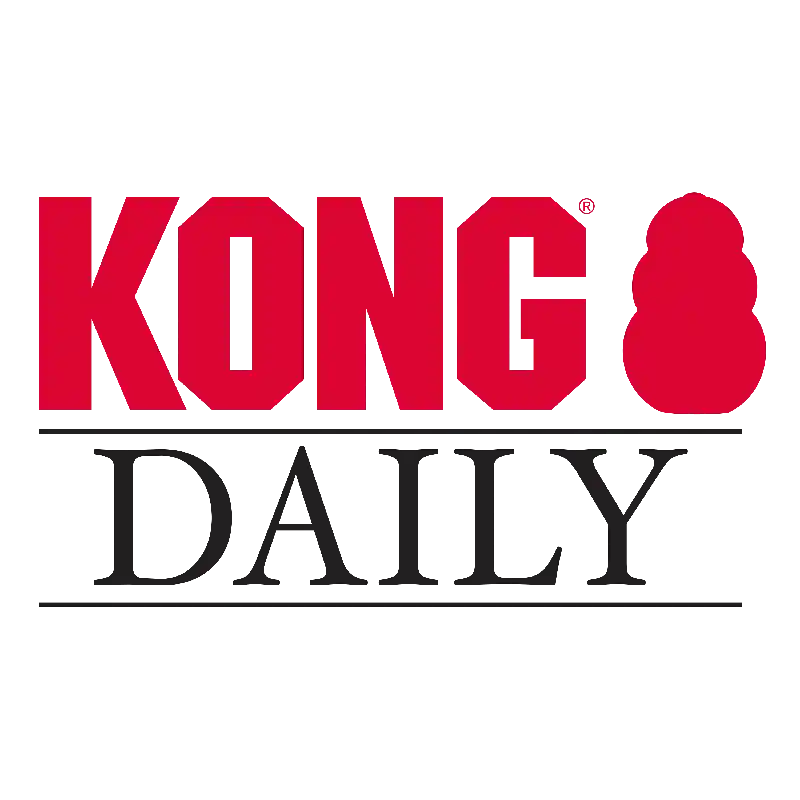 Kong Daily Newspaper Xl