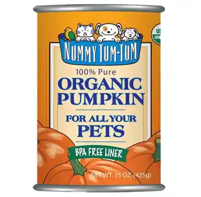 Nummy Tum Tum Organic Canned Pumpkin Dog 15 Oz