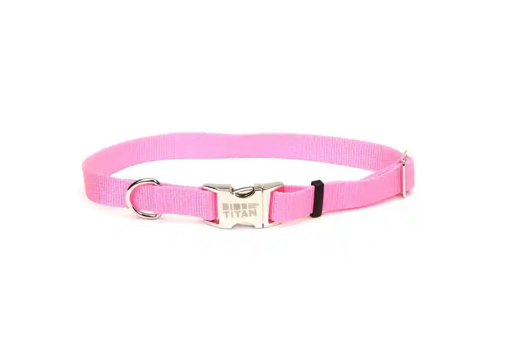 Adjustable Dog Collar With Metal Buckle, Pink Bright, 1" X 18" - 26"