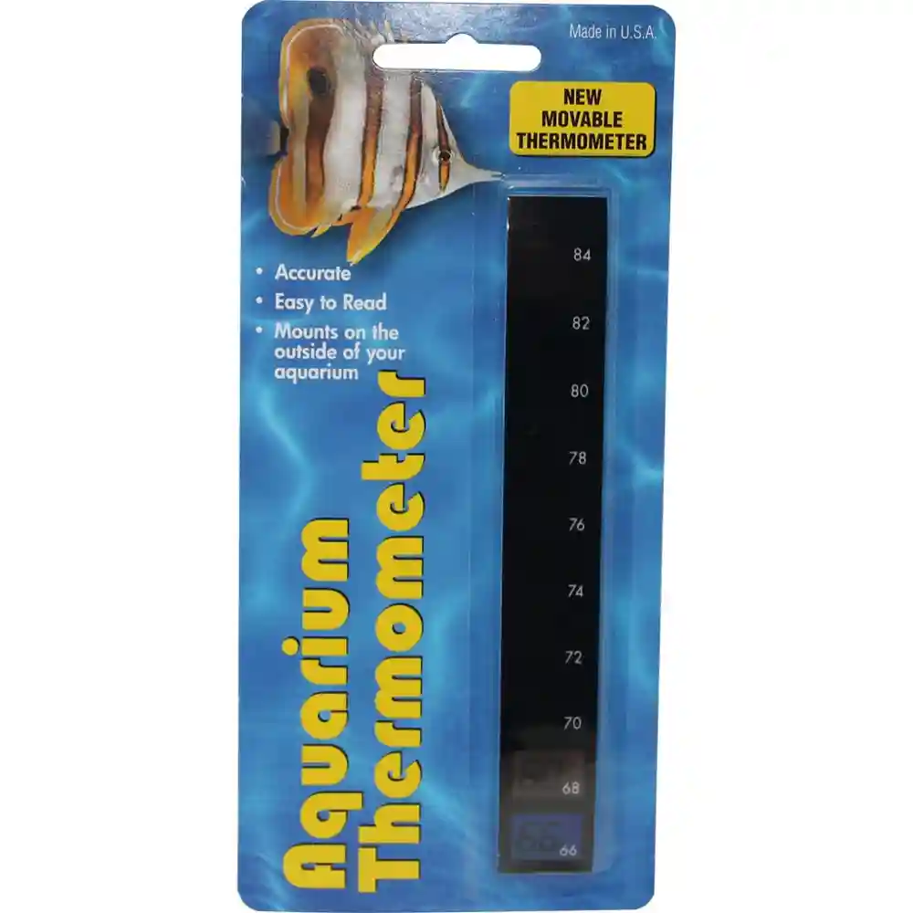 Aqua Thermometer Vert Lrg