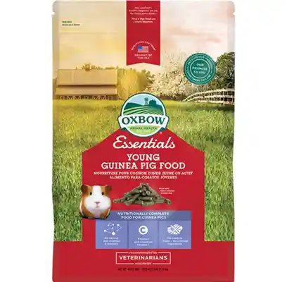 Essentials Young Guinea Pig - 5lb
