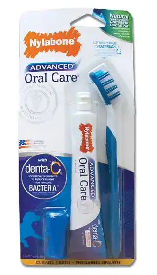 Nylabone Oral Care Natural Peanut Dental Kit