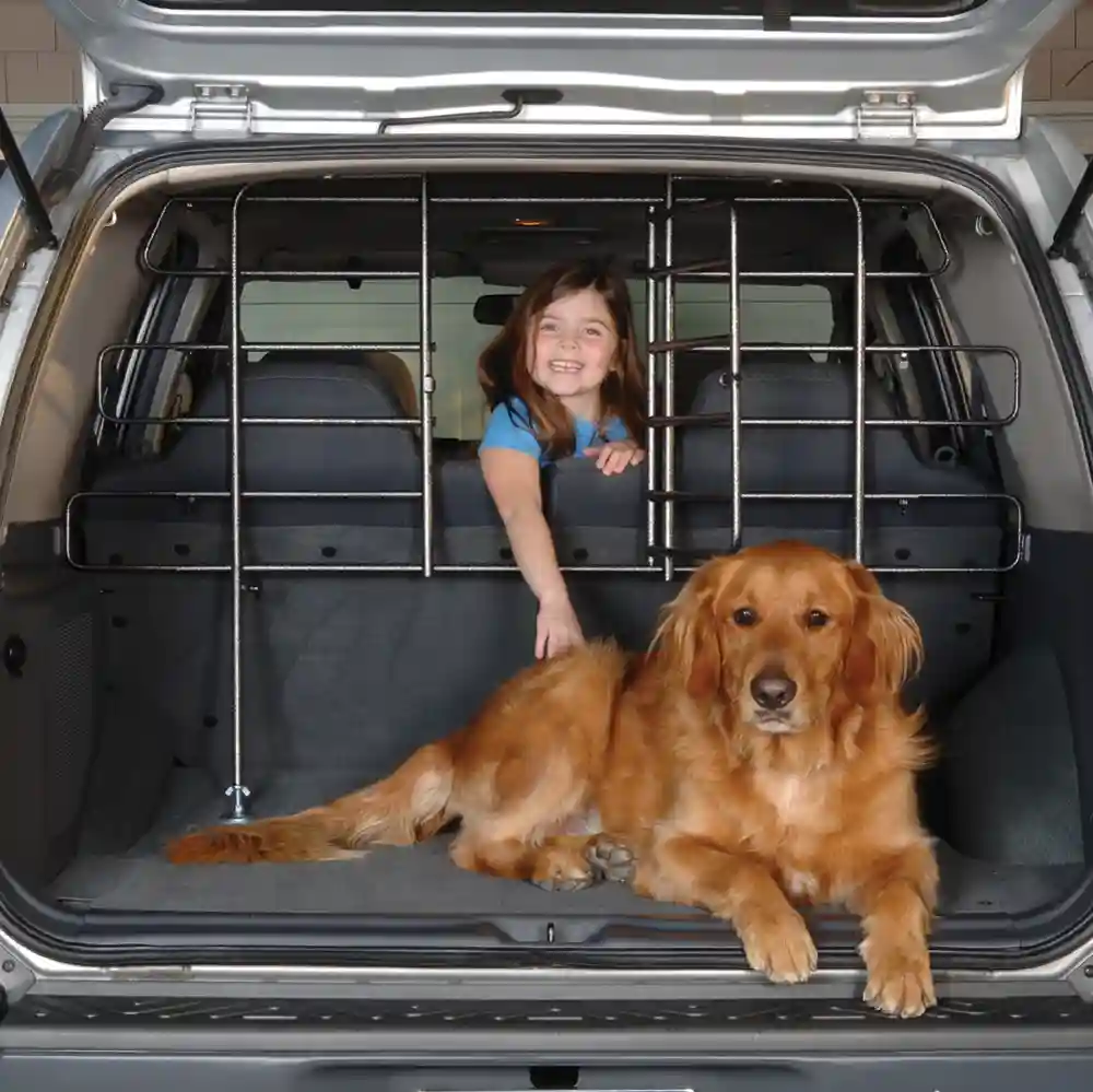Vehicle Barrier With Door Hammertone