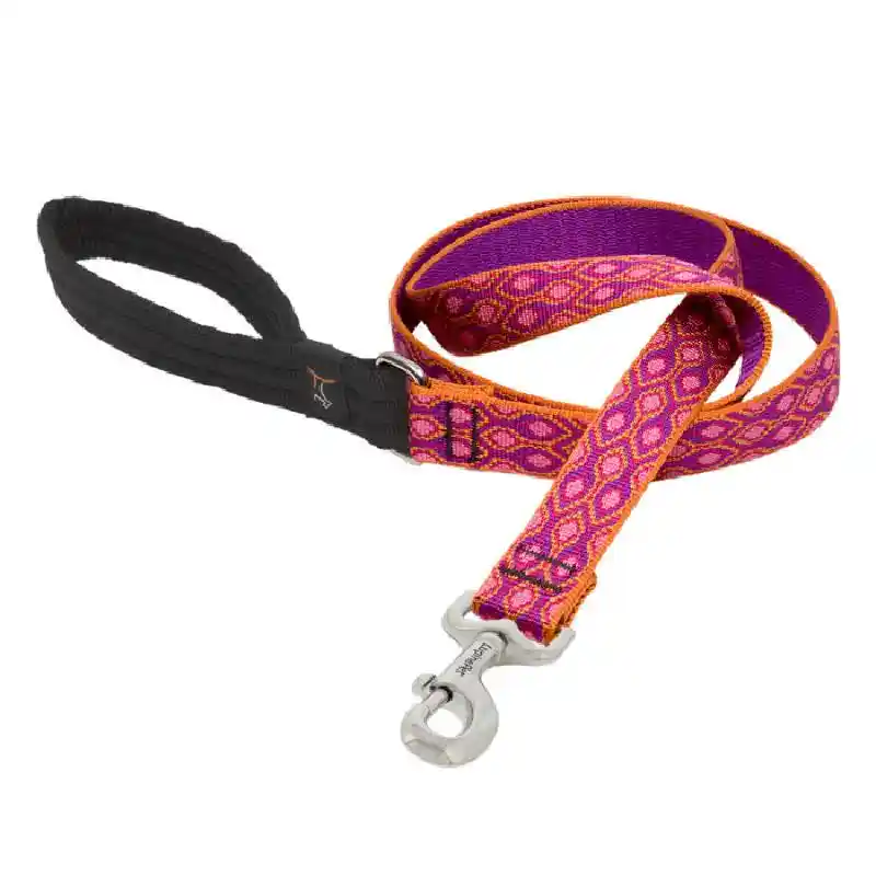 3/4" Alpen Glow 6' Leash