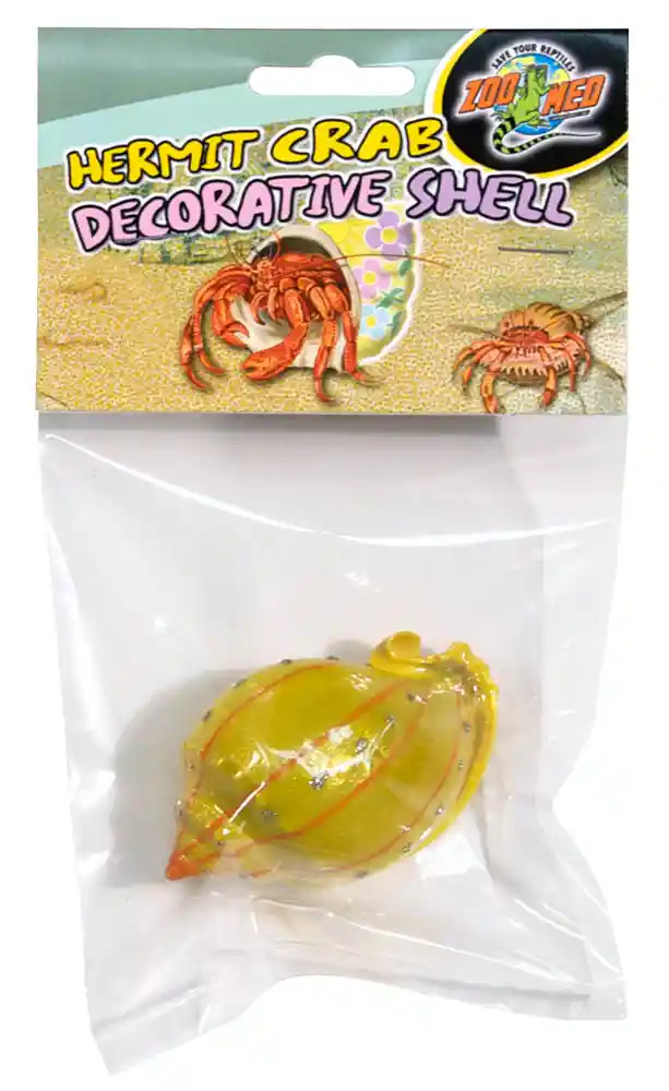 Zoomed Hermit Crab Deco Shell