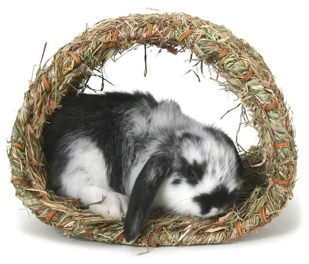 Marshall Peters Rabbit Woven Grass Hide-a-way Hut