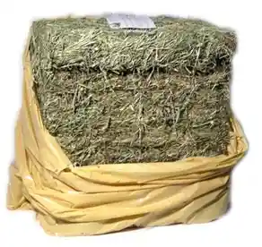 Oxbow Western Timothy Hay 50 Lbs Bag