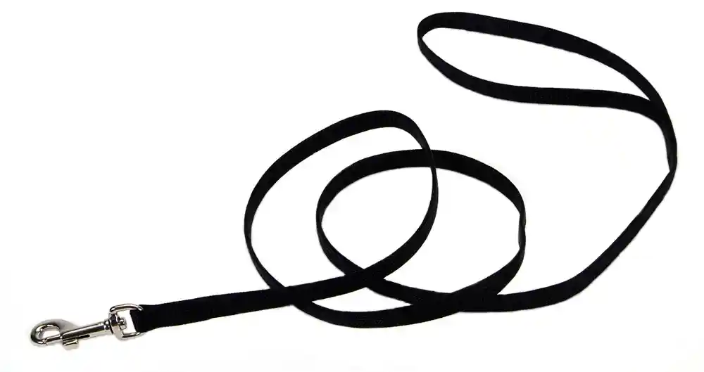 Coastal Single-ply Nylon Dog Leash Black 3/8" X 4'