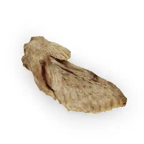 Raw Bar Freeze-dried Turkey Wing Treat For Dogs 1 Wing