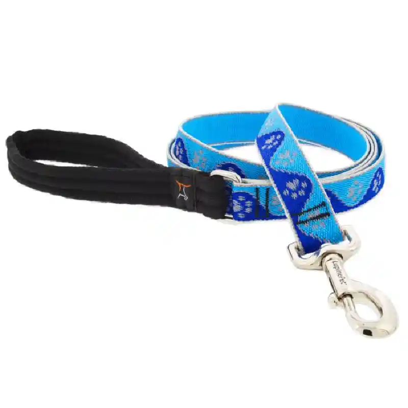 1 Inch Blue Paws Leash 6 Foot