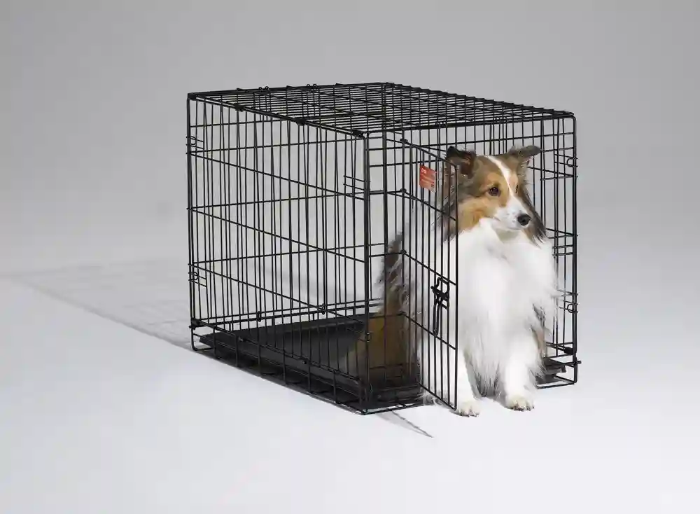 I-crate Single Door Folding Dog Crate 30"x19"x21"