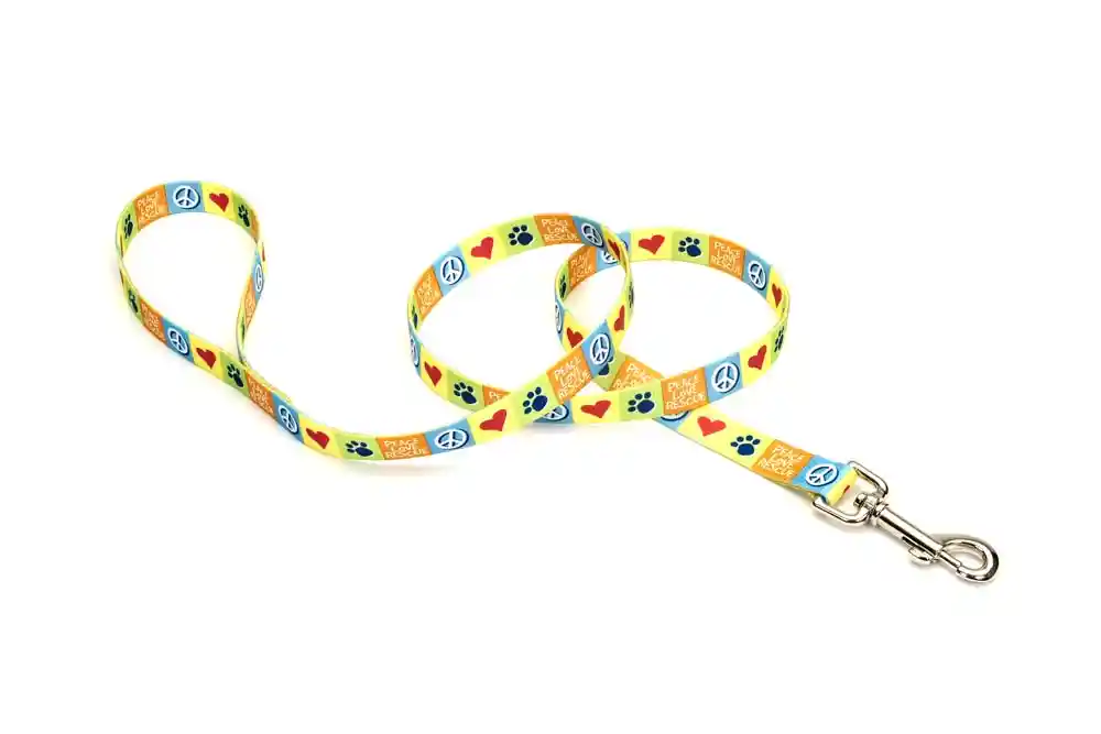 Dog Leash, Resolve, 1" X 06'