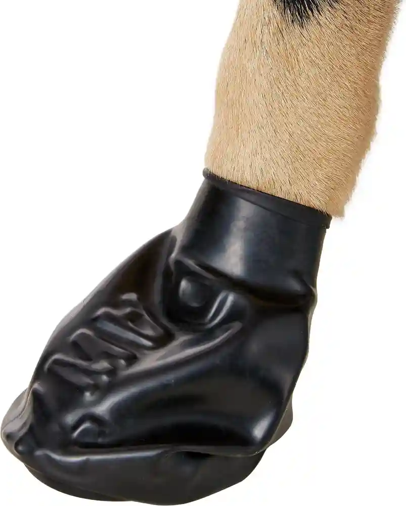 Waterproof Dog Boots, Black, 12 Count Medium