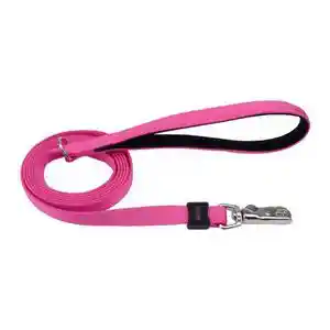 Leash, Pink, 5/8" X 06'